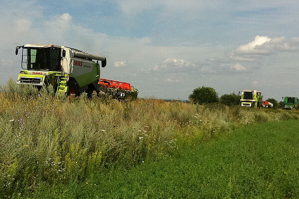 Drei ukrainische Mähdrescher der Marke Claas fahren auf einem Damm entlang eines Ackers.