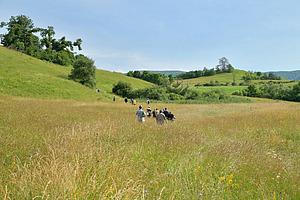 A group of people are walking across vast areas rich in biodiversity.