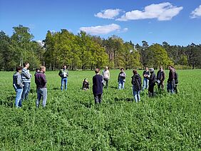 Viele Menschen stehen im Kreis auf einem Feld mit Zwischenfrüchten..