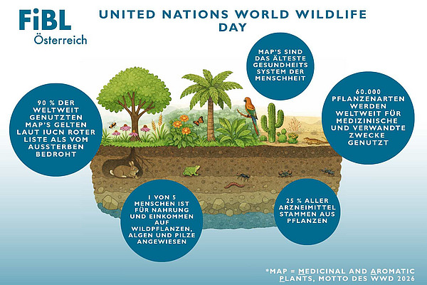 Grafik zum World Wildlife Day 2026.