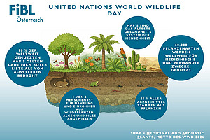Grafik zum World Wildlife Day 2026.