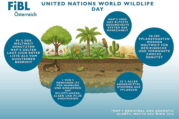 Grafik zum World Wildlife Day 2026.