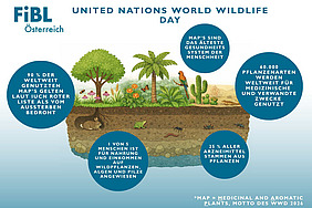 Grafik zum World Wildlife Day 2026.