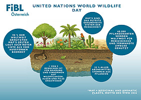 (c) FiBL, Marc Vincent Schmidt Grafik zum World Wildlife Day 2026.