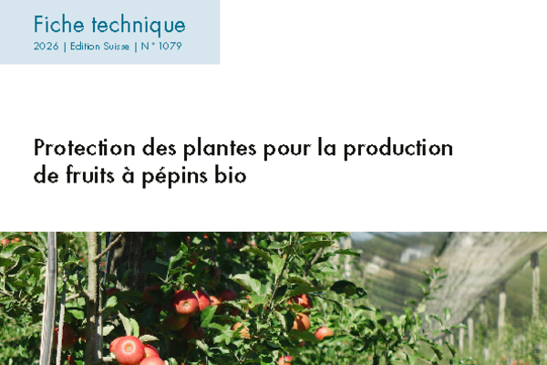 Cover Fiche technique