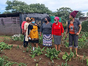 Zu sehen ist eine Gruppe afrikanischer Frauen auf einem Gemüsefeld.
