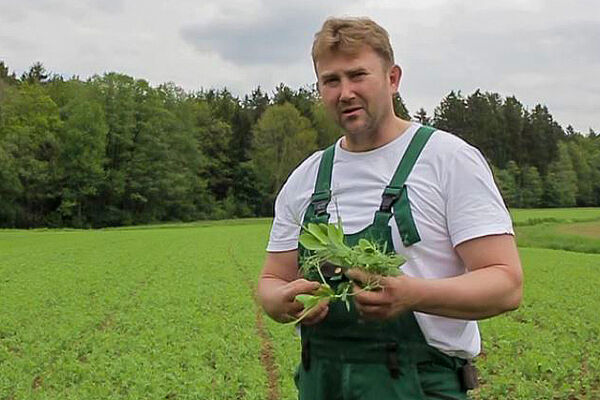 Mann am Acker mit Pflanzen in der Hand