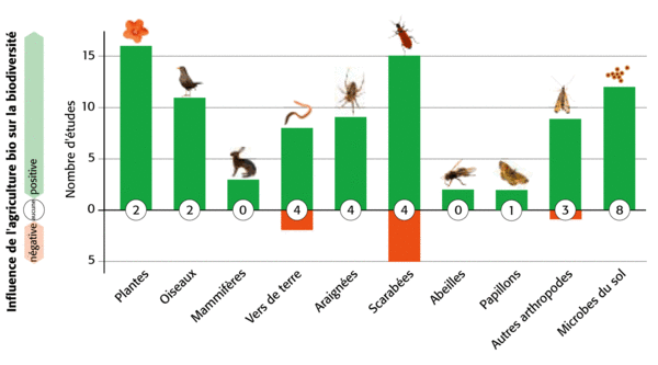 Figure: Les effets du mode d'exploitation biologique sur la biodiversité