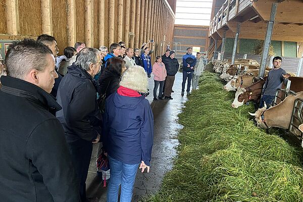 Besuchende stehen in einer Stallgasse, rechts sind Kühe und fressen frisches Grünfutter vom Futtertisch.