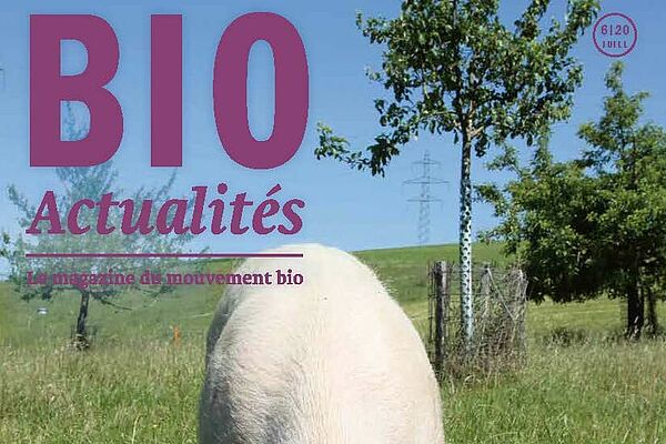 Cover Bioactualités 6/2020