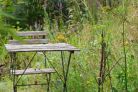 Tavolo e sedia in un giardino urbano
