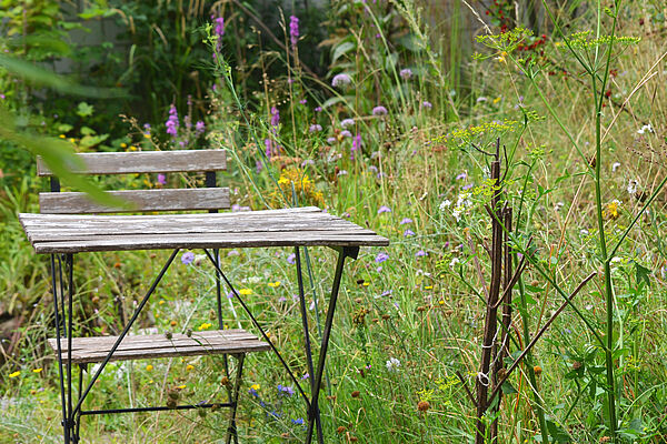 Tisch und Stuhl in einem urbanen Garten