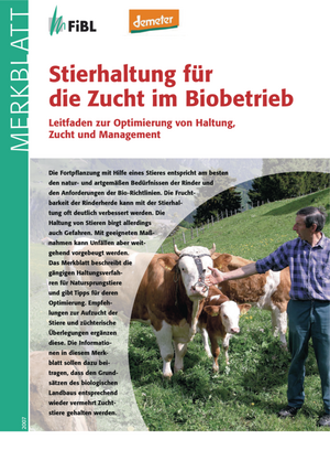 Stierhaltung für die Zucht im Biobetrieb