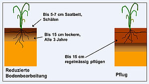 Diagramm Reduced tillage