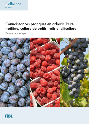 Connaissances pratiques en arboriculture fruitière, culture de petits fruits et viticulture