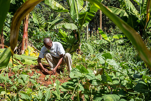 A dark skinned man is kneeling on the floor and working on the soil. He is surrounded by the vibrant green of a rainforest.