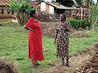 Martha Musyoka, ICIPE, Nairobi, Kenia, bespricht sich mit ihrer Assistentin