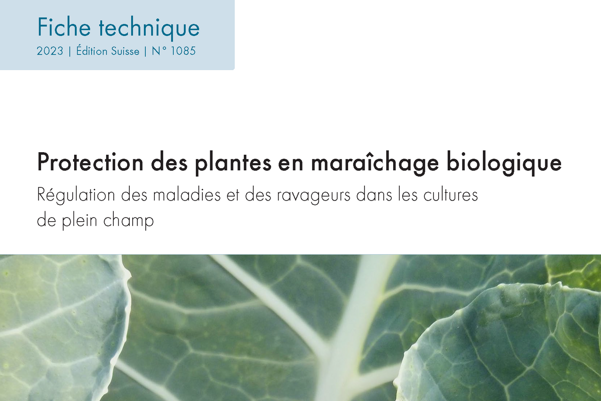 Sac Protection Plantes En Laine Polaire - 1.20x1.80 M, Contre Le Froid, Soleil, Animaux (polypropylène)