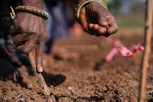 Crop sowing in India
