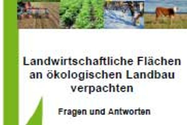 Ausschnitt des Broschürencovers