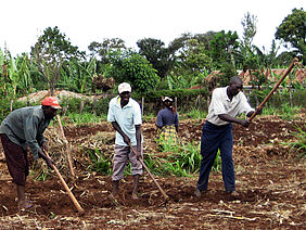 Farmers in Kenya