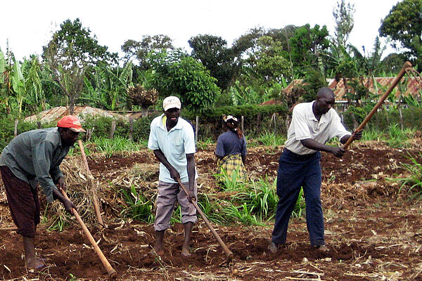 Farmers in Kenya