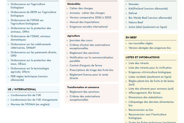 Illustration comportant des textes dans des encadrés colorés aux tons pastel.