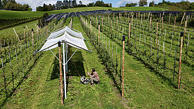 Laboratoire en plein air