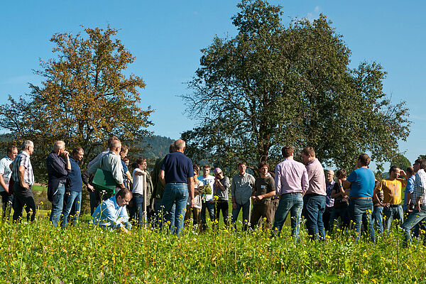 Menschengruppe am Feld.