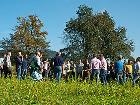 Menschengruppe am Feld.
