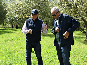 Two men are standing on a well-tended lawn amongst olive trees, deep in conversation.