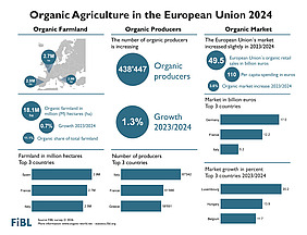 Infographic on organic agriculture 2024 in the European Union.