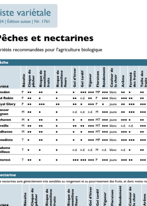 Liste variétale pêches et nectarines