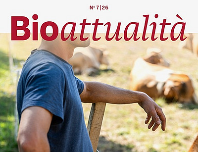 Copertina di Bioattualità 7|26: Un uomo è appoggiato a una recinzione, con delle mucche sullo sfondo.