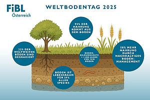 Grafik zum Weltbodentag.
