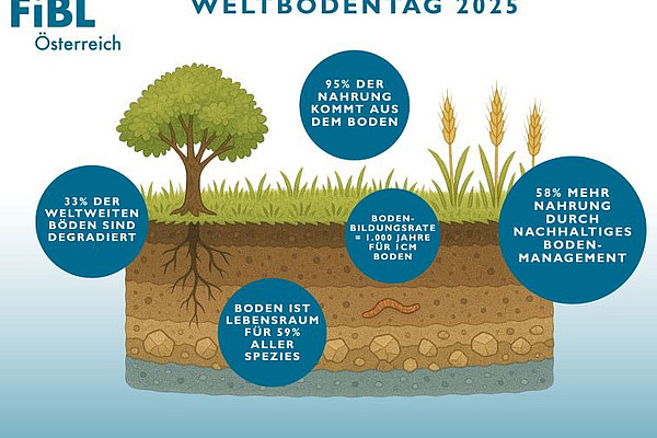 Grafik zum Weltbodentag.
