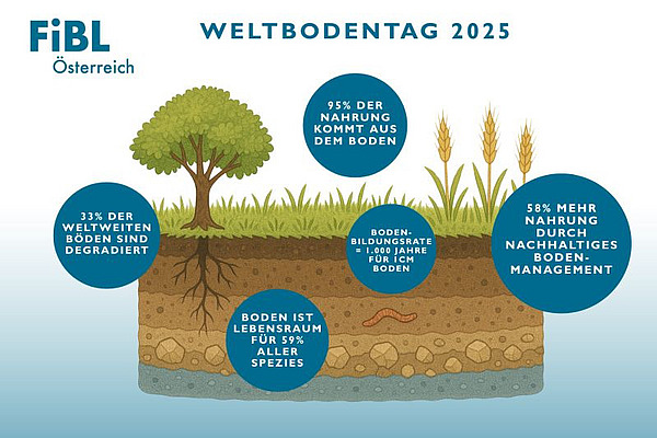 Grafik zum Weltbodentag.
