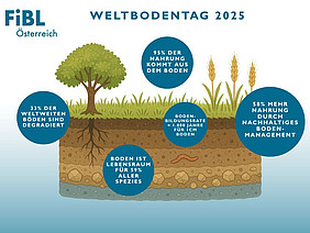 (c)Marc Schmidt Grafik zum Weltbodentag.