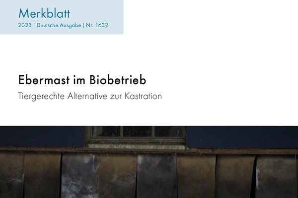 Cover: Ebermast im Biobetrieb
