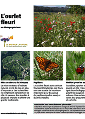 Panneau explicativ "L'ourlet fleuri: un biotope précieux"