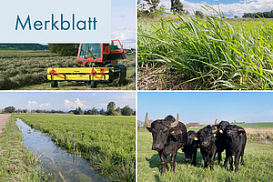 Titelbilder Paludikultur.