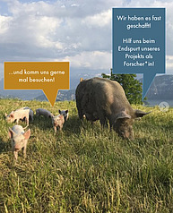 Eine Sau mit Ferkeln steht auf einer Wiese. Sie hat eine blaue Sprechblase "Hilf uns beim Endspurt unseres Projekts" und das Ferkel sagt "Und komm uns besuchen!"
