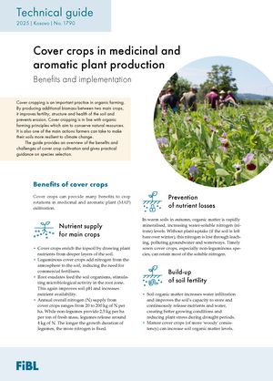 Cover crops in medicinal and aromatic plant production