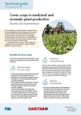 Cover crops in medicinal and aromatic plant production