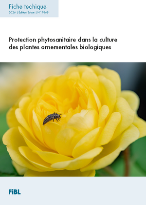 Protection phytosanitaire dans la culture des plantes ornementales biologiques