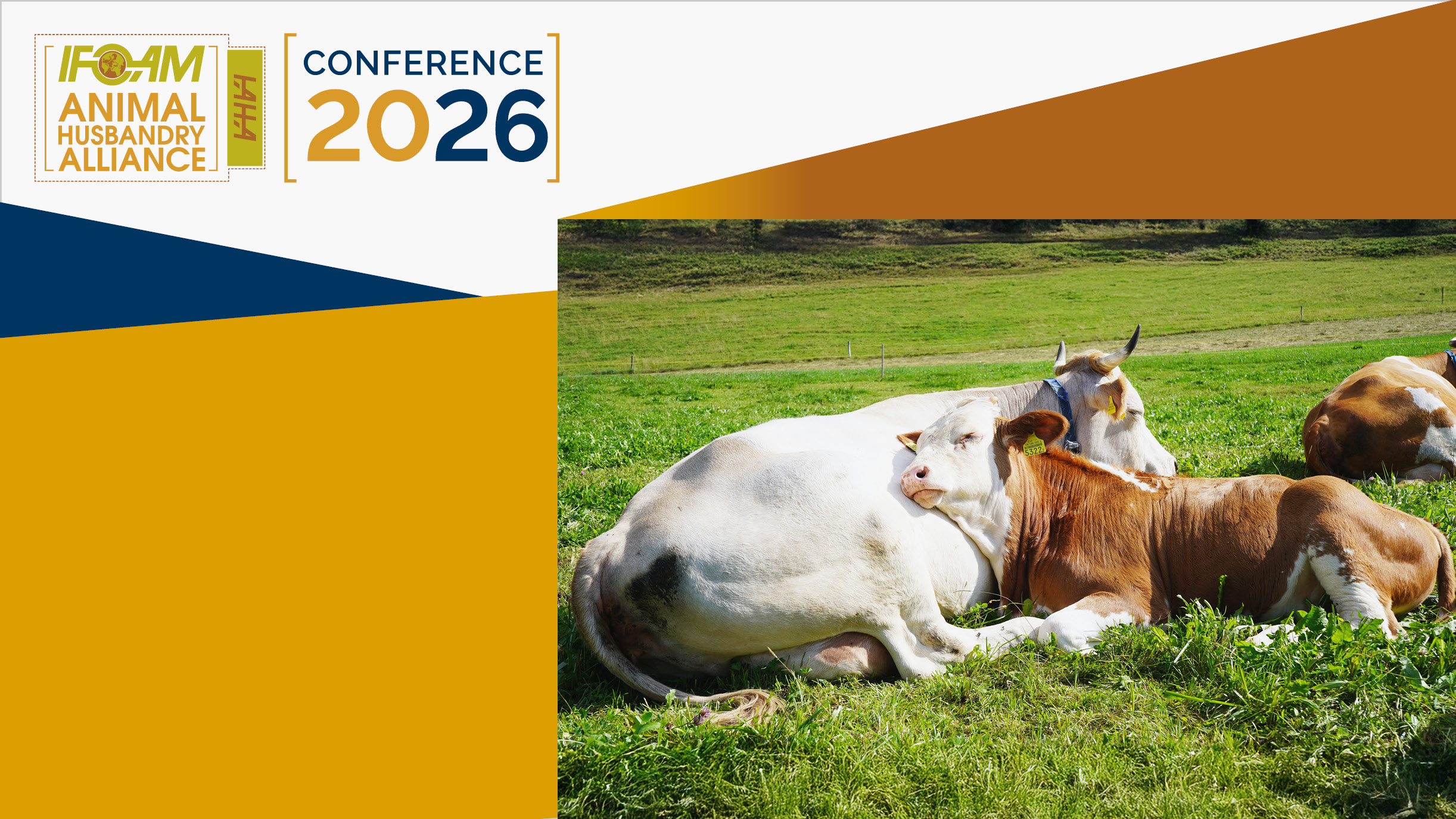 IAHA-Logo mit Kuh und Kalb liegend auf der Weide. 