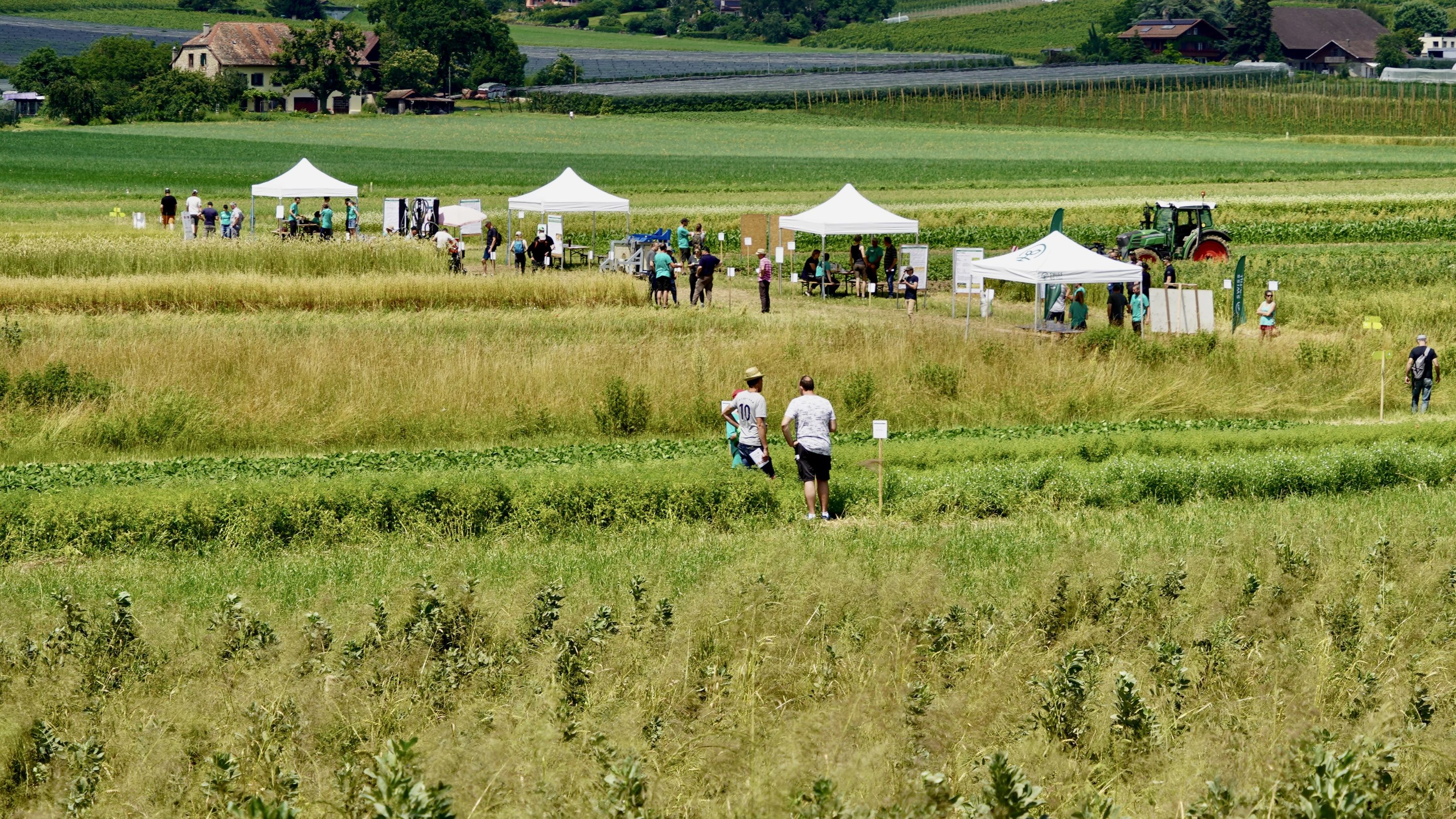 Feld mit Menschen und Informationsständen.