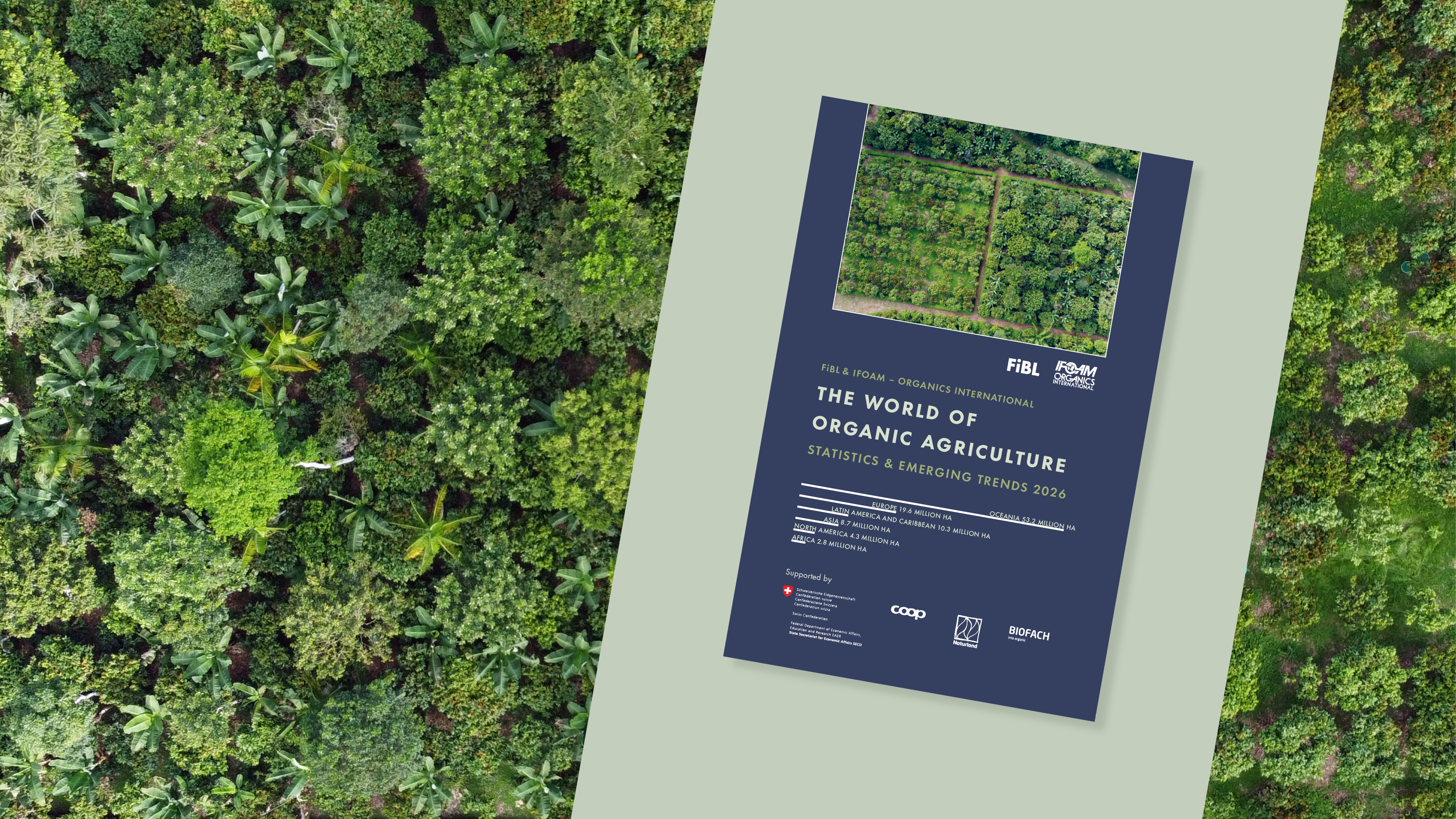 Couverture du livre, avec en arrière-plan une comparaison entre l'agroforesterie cacaoyère et la monoculture cacaoyère.