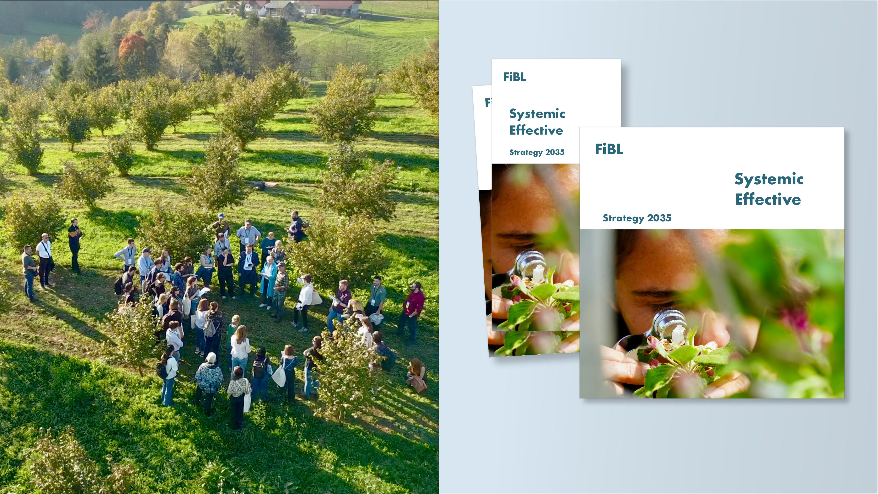 Brochure and flyer alongside a picture of an agroforestry field with people.