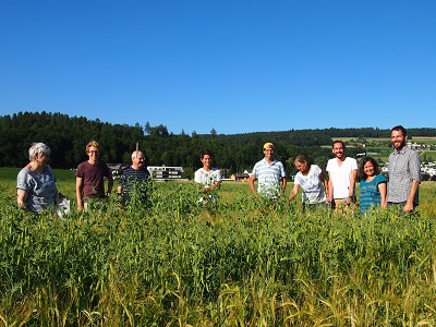A group of people is standing in a pea field with a clear blue sky in the background